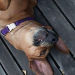 Profile Picture of Flora Campbell (@campbellflorarhodesiano) on Instagram