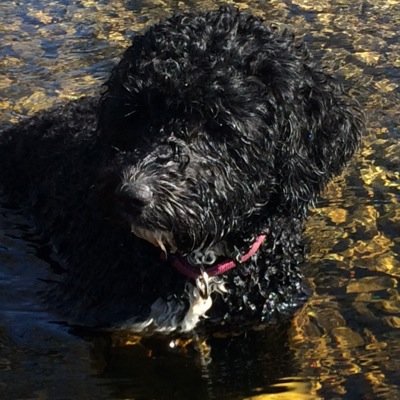 Profile Picture of Andrew Couture (@battlelake2) on Twitter
