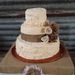 Profile Picture of Pamela Hebert (@pamelamarie63) on Pinterest