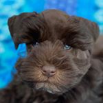 Profile Picture of Benjamin Charles Kravitz (@sir.benjamin.charles) on Instagram