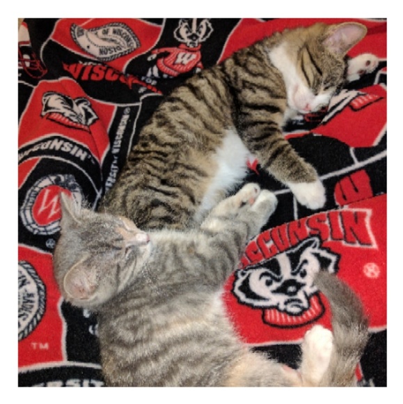 Profile Picture of Kelsey Sudmeier (@kelseysudmeier) on Poshmark