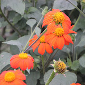 Profile Picture of Richard Cordell (@richardcordell6842) on Youtube