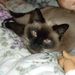 Profile Picture of JasonCharadee Plourde (@jasoncharadee) on Pinterest