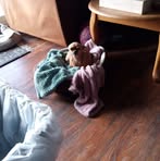 Profile Picture of Chrissy Crum (@Chrissy-Crum) on Facebook