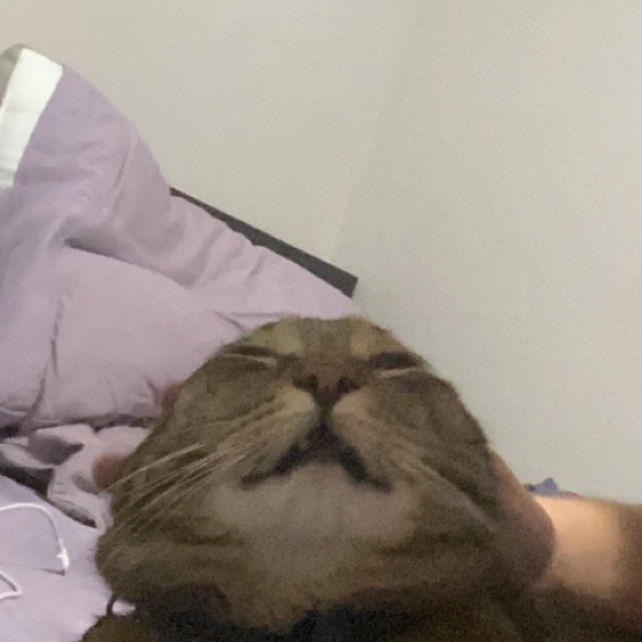 Austin Coyle - Poshmark Profile Picture of Austin Coyle (@austin_coyle) on Poshmark