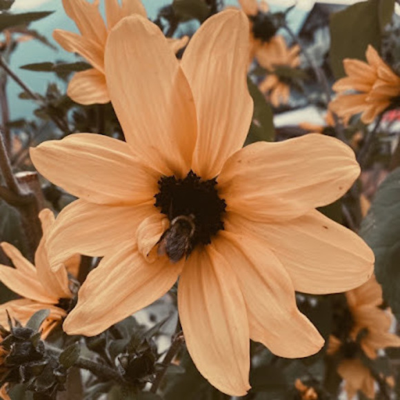 Profile Picture of Kayla Vindis (@kvindis30) on Poshmark