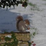 steven.harrigan1 - Instagram Profile Picture of steven.harrigan1 (@steven.harrigan1) on Instagram