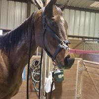 Profile Picture of Elizabeth Stubblefield (@elizabeth-stubblefield-2) on Quora