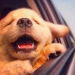 Violet Kim - Instagram Profile Picture of Violet Kim (@ragerbim) on Instagram