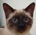 Profile Picture of Neebler Schibetta (@neebler.schibetta) on Facebook