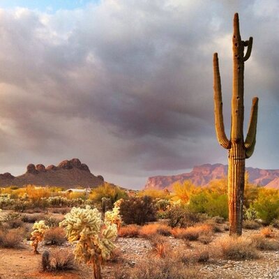 Profile Picture of Rick Kempf (@Rickkempf) on Twitter