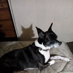 Profile Picture of Julius Cropp (@julius.cropp.2025) on Facebook