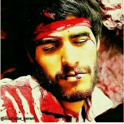 Profile Picture of  🇮🇷دیدبان ولایت 🇮🇷 (@dideban_313_ir) on Twitter