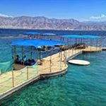 Profile Picture of Miriam Fine (@finemiriam) on Instagram