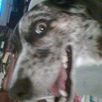 Profile Picture of David Wayne Heathcott (@david-wayne-heathcott) on Quora