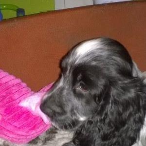 Profile Picture of Annette Wyer (@annette.wyer.7) on Facebook