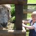 Profile Picture of Daniel Heffernan (@daniel.heffernan.3785) on Facebook