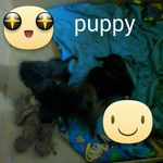 Profile Picture of paige mackay (@mackaypaige) on Instagram