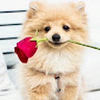 Profile Picture of Daniela Salcedo (@daniela-salcedo-25) on Quora