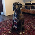 Profile Picture of Jeff Dillender (@dillenderjeff) on Instagram