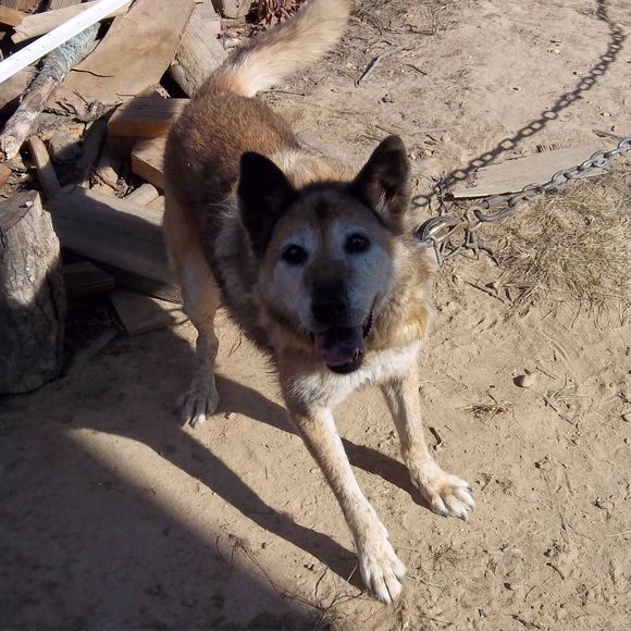 Profile Picture of Ida Murphy (@idamurphy20) on Poshmark