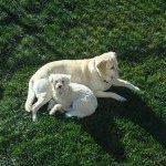 Profile Picture of James Bina (@Bgym1) on Facebook