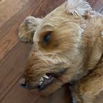 Tucker Englerth - Instagram Profile Picture of Tucker Englerth (@tucke_r19) on Instagram