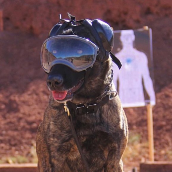 Profile Picture of Al Camisa (@bountyhunter) on Poshmark