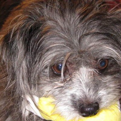 Profile Picture of Brenda Bullard (@brendabullard) on Twitter