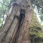 Profile Picture of David Mosier (@byguile) on Instagram