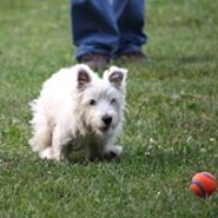 Profile Picture of Jeff Moir (@jeff-moir) on Quora