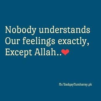 Profile Picture of Naveed Mirza (@naveedmirza786) on Twitter