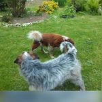 Profile Picture of Zachary Marco (@zacharymarco200) on Instagram