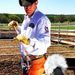 Profile Picture of Sean Koehler (@koehler0146) on Pinterest