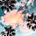 Profile Picture of Mark (@marcus_harper99) on Instagram