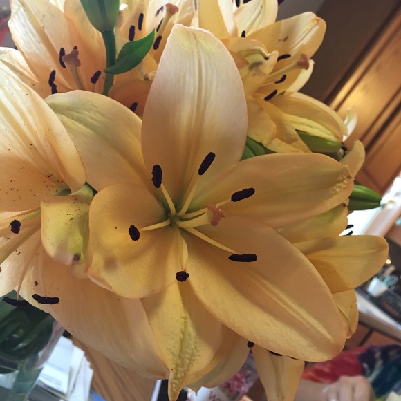 Profile Picture of Nichole Jacobs (@nic_hole) on Poshmark