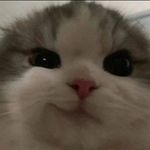 Profile Picture of lalan (@naz_lan._) on Instagram