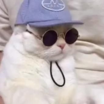 Profile Picture of Kenzie 🥺🦋 (@mckenzie._.hayes) on Tiktok