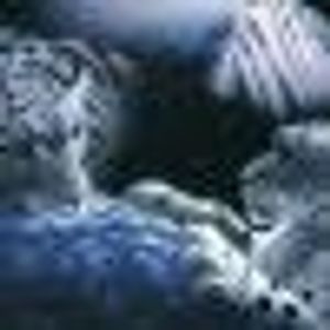 Profile Picture of Yazan Ahmad (@330962330) on Myspace