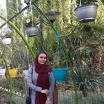 Profile Picture of afsaneh.irani (@afsaneh.irani7580) on Instagram