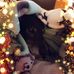 Profile Picture of Sara Haskins (@sara.obrien.526) on Facebook