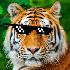 Profile Picture of TigEr (@Luca_Gene) on Twitter