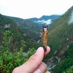 Profile Picture of Nicolas Holguin (@nicolas_holguiii) on Instagram