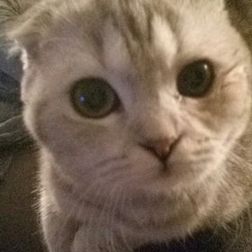 Profile Picture of axelle david (@axelledavid) on Pinterest