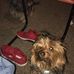Profile Picture of Mitchell Royer (@mitchell.royer.9) on Facebook