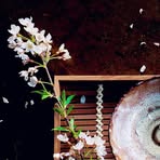 Profile Picture of Jordely Arcila (@Jordely-Arcila) on Facebook