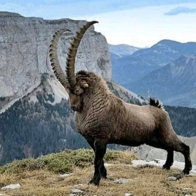 Profile Picture of Emilio Vanegas Mendez (@emiliovanegasm1) on Twitter