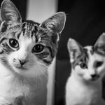 Profile Picture of Catherine Baeriswyl (@cath_baeris) on Instagram