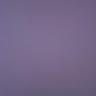 Profile Picture of Tonya Petrillo (@tonyapetrillo) on Tiktok