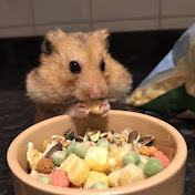 Profile Picture of Ruby Edwards (@rubyedwards4546) on Youtube